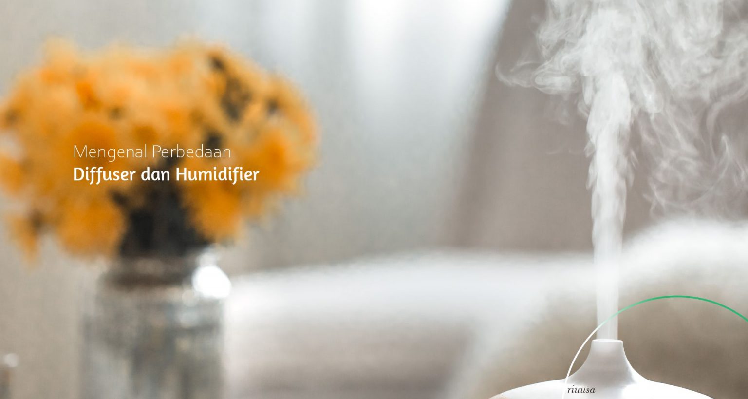 beda humidifier diffuser dan purifier